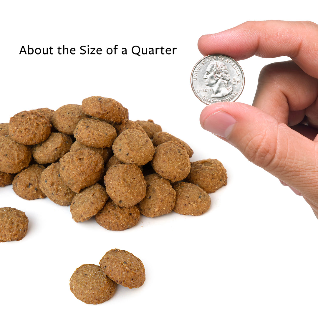 A small pile of Chompin’ Charlie soft dog treats with a hand holding a U.S. quarter to show each treat’s size — roughly the diameter of a quarter.