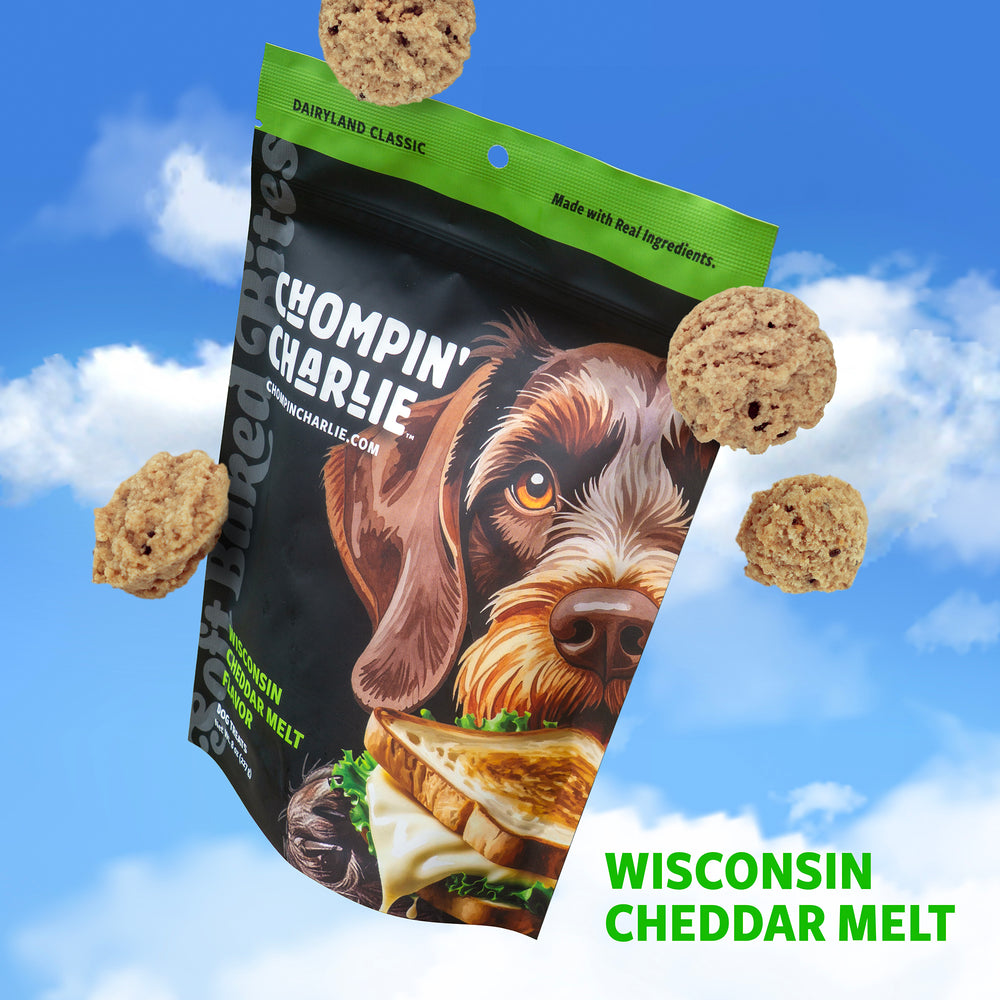 Wisconsin Cheddar Melt Flavor Dog Treats