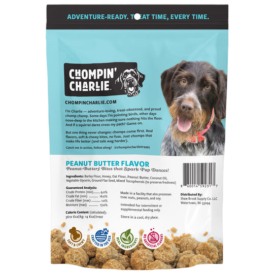 Peanut Butter Flavor Dog Treats