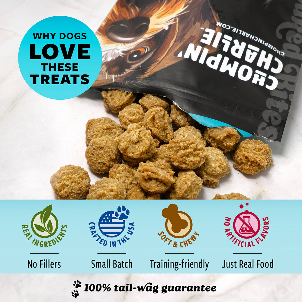 Peanut Butter Flavor Dog Treats