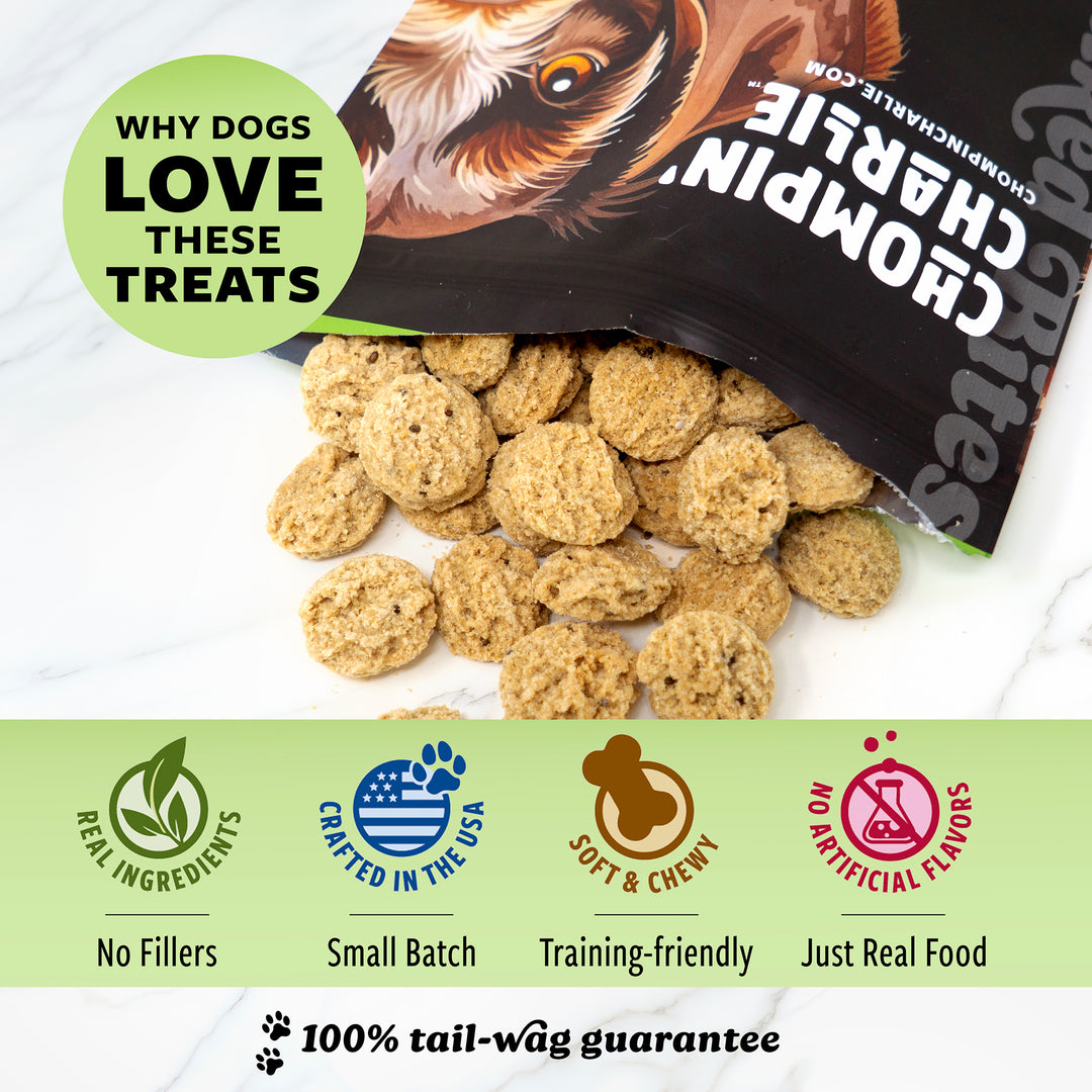 Wisconsin Cheddar Melt Flavor Dog Treats